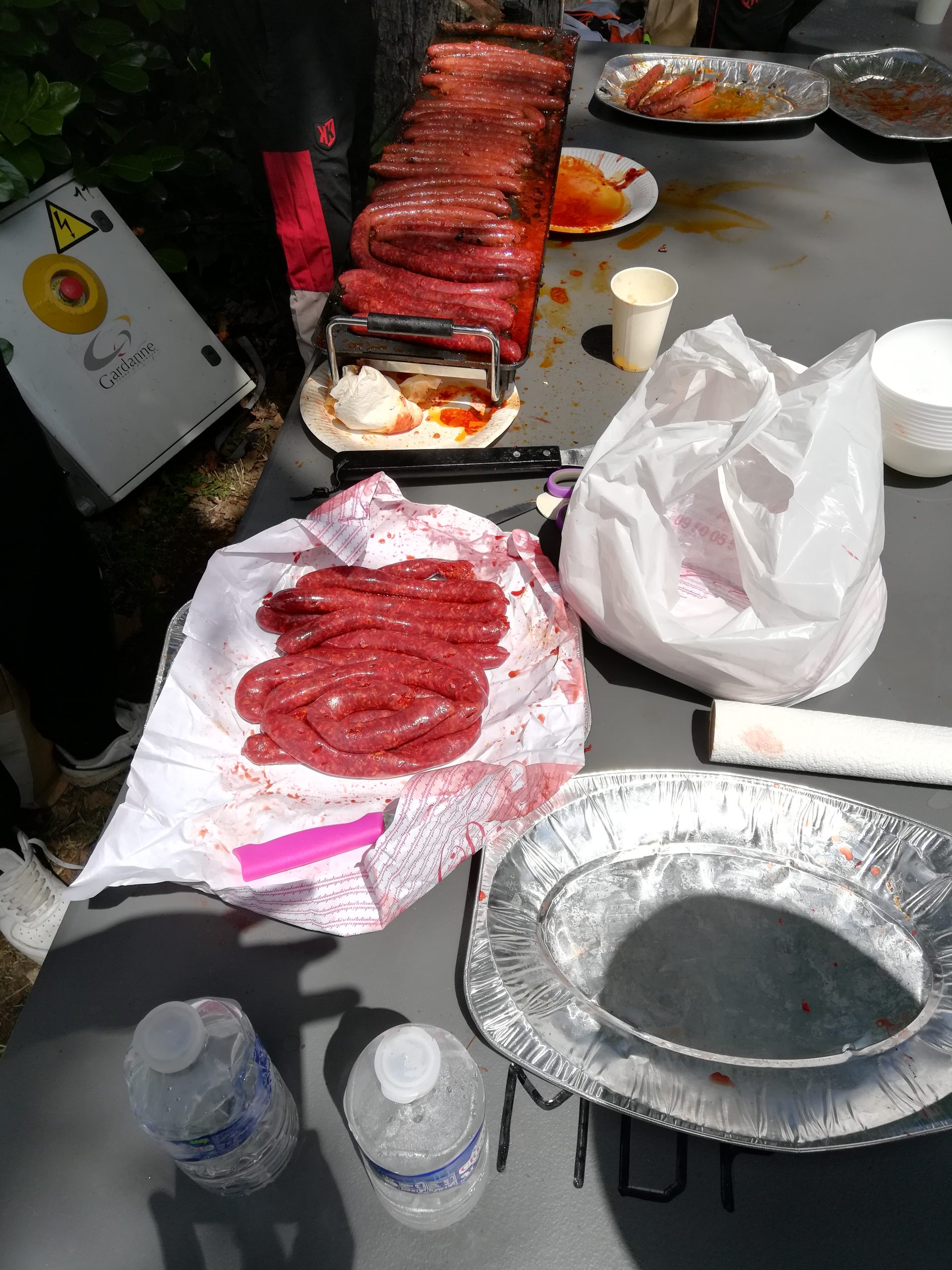 IMG_20230610_122121